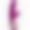 FUN TOYS VIBRADOR RABBIT GCANDY SWEET RASPBERRY nº7