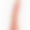 Pipedream - wild thing 7 inch - dildo - naranja