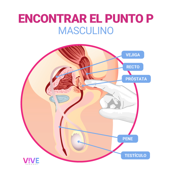 INFOGRAFÍA-PUNTO-P-MASCULINO.jpg