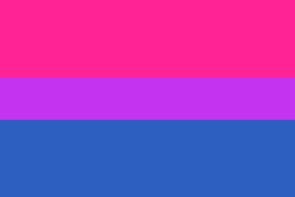 bandera_bisexual.png