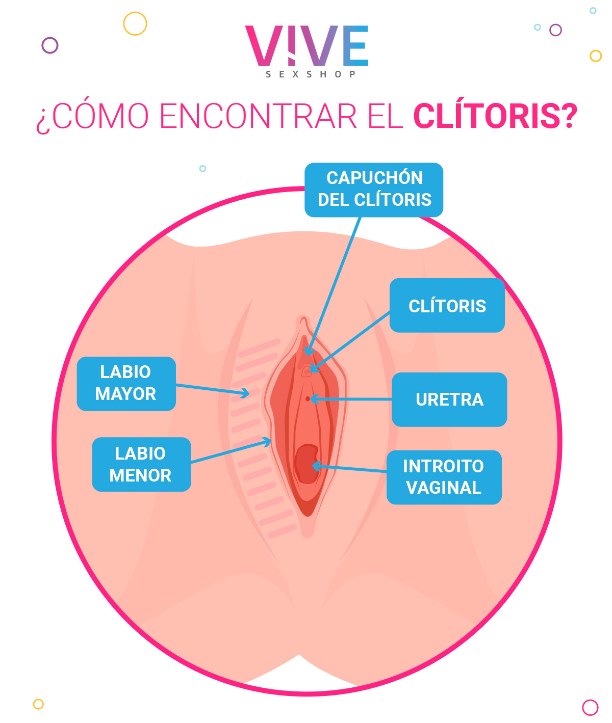 Cómo encontrar el clítoris