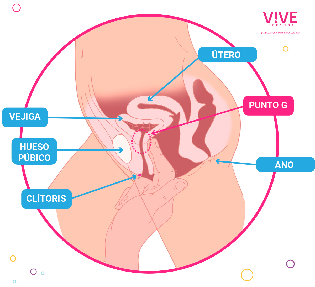 Cómo encontrar el Punto G femenino