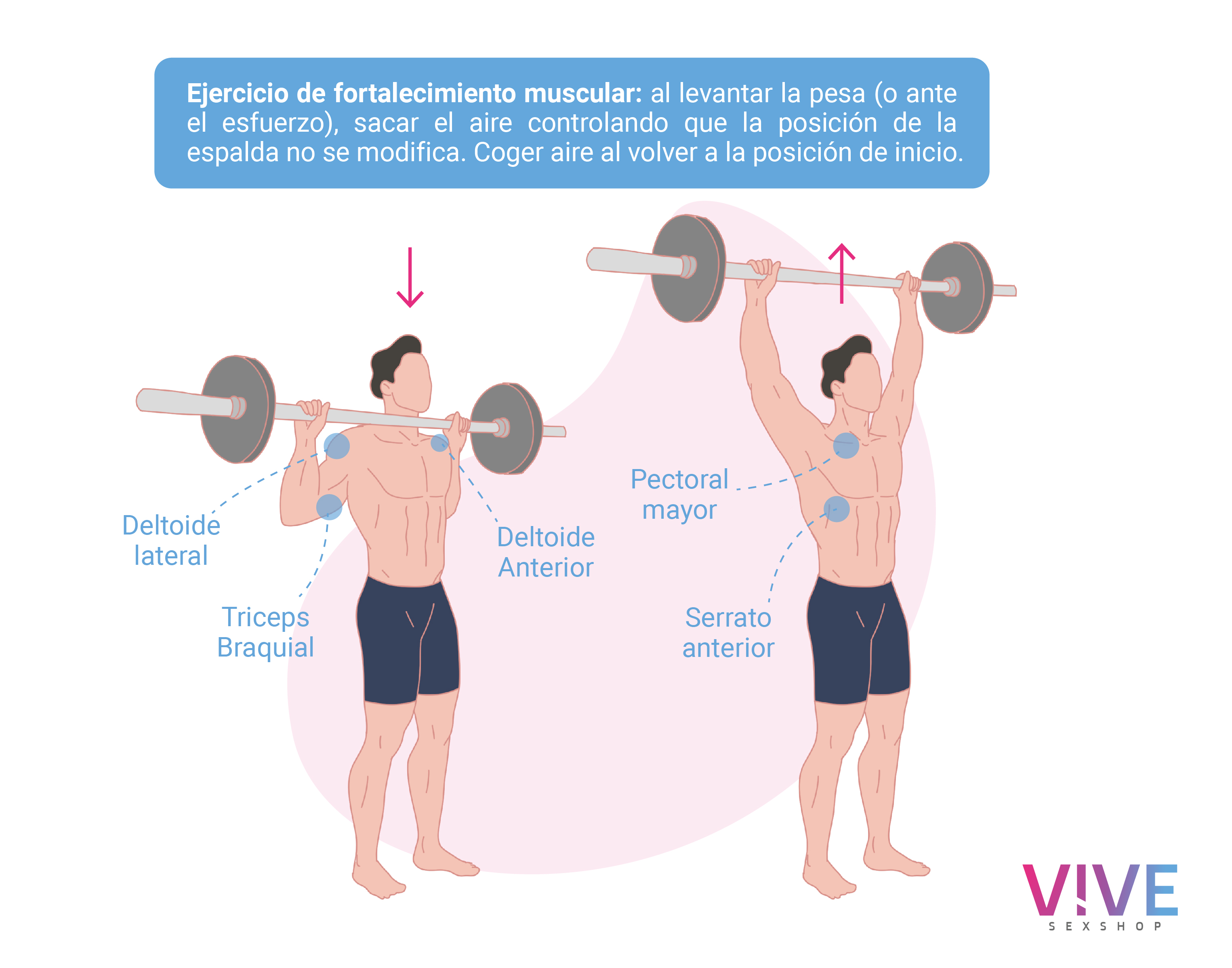 fortalecimiento_muscular_vive.jpg