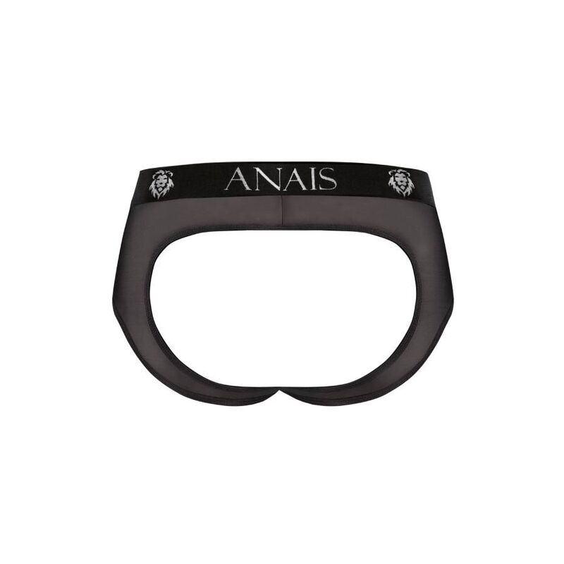 ANAIS PROV 15