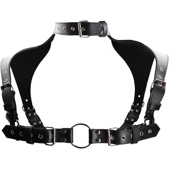 HARNESS WITH NECK COLLAR 2