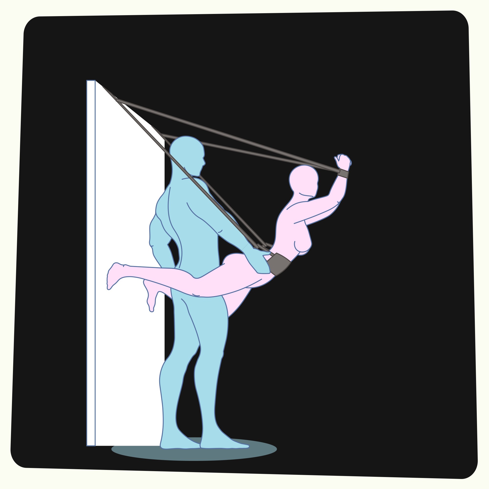 DELUXE SEX DOOR SWING 12