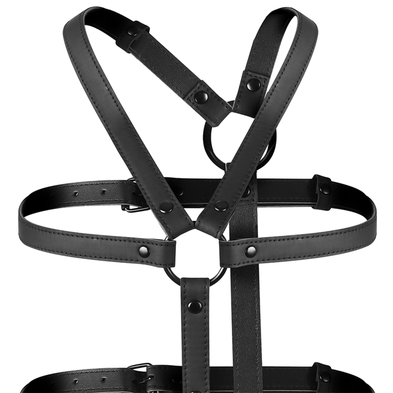 ARNÉS HARNESS RESTRAINT 4