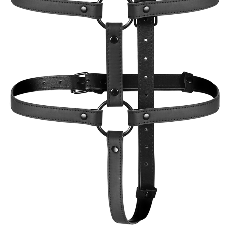 ARNÉS HARNESS RESTRAINT 5