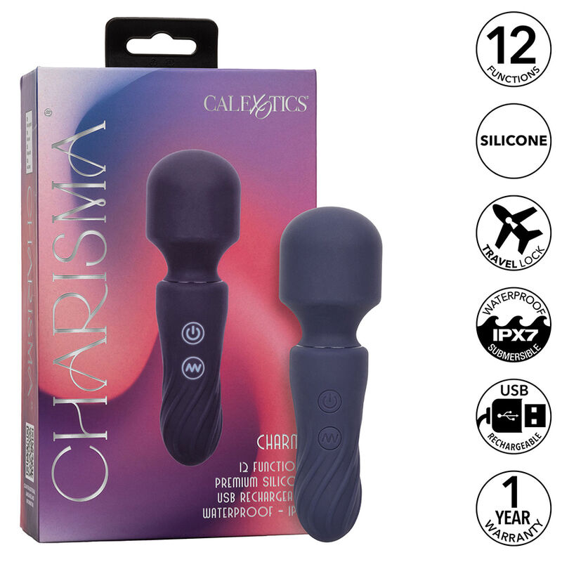 CHARISMA CHARM MASSEUR 12 FONCTIONS VIOLET