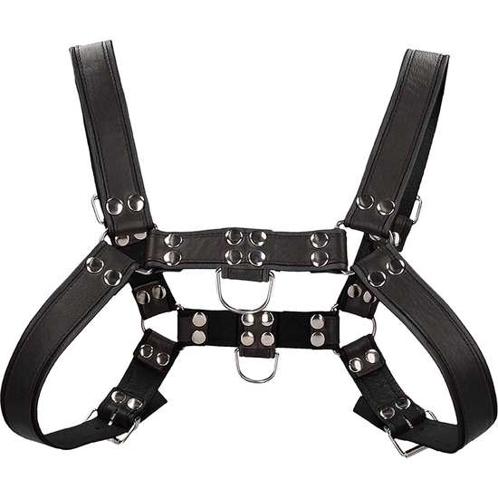 CHEST BULLDOG HARNESS BLACK 4