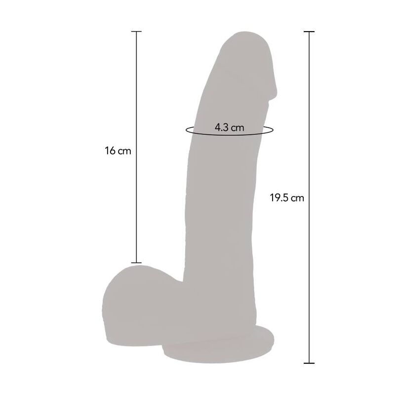 DILDO MAGNETIC 12