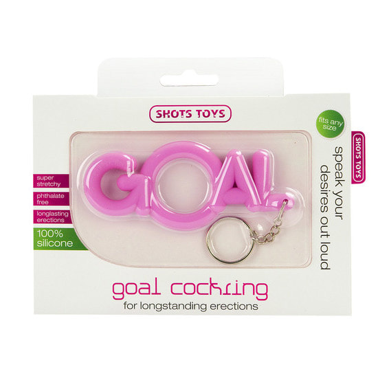 GOAL 3