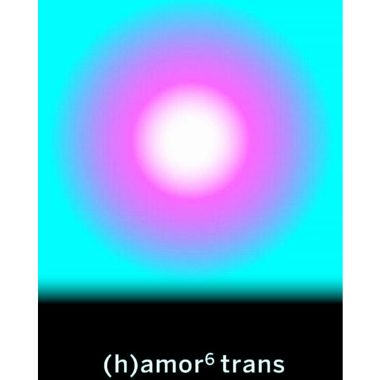 (h)amor 6 trans