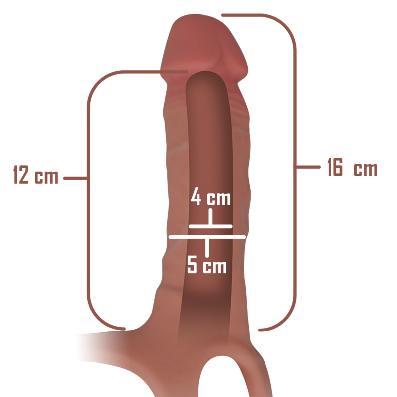 INTENSE - ARNÉS HUECO CON DILDO SILICONA 16 X 3.5 CM nº4