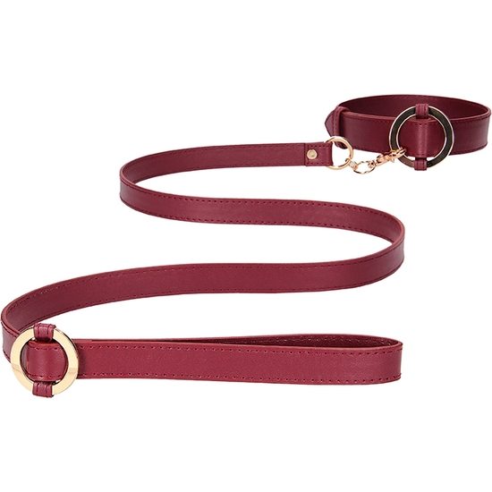 COLLAR WITH LEASH 5