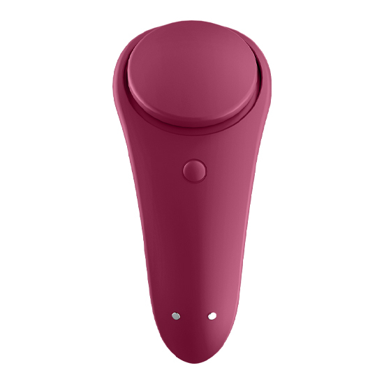 SATISFYER SEXY SECRET PANTY 5