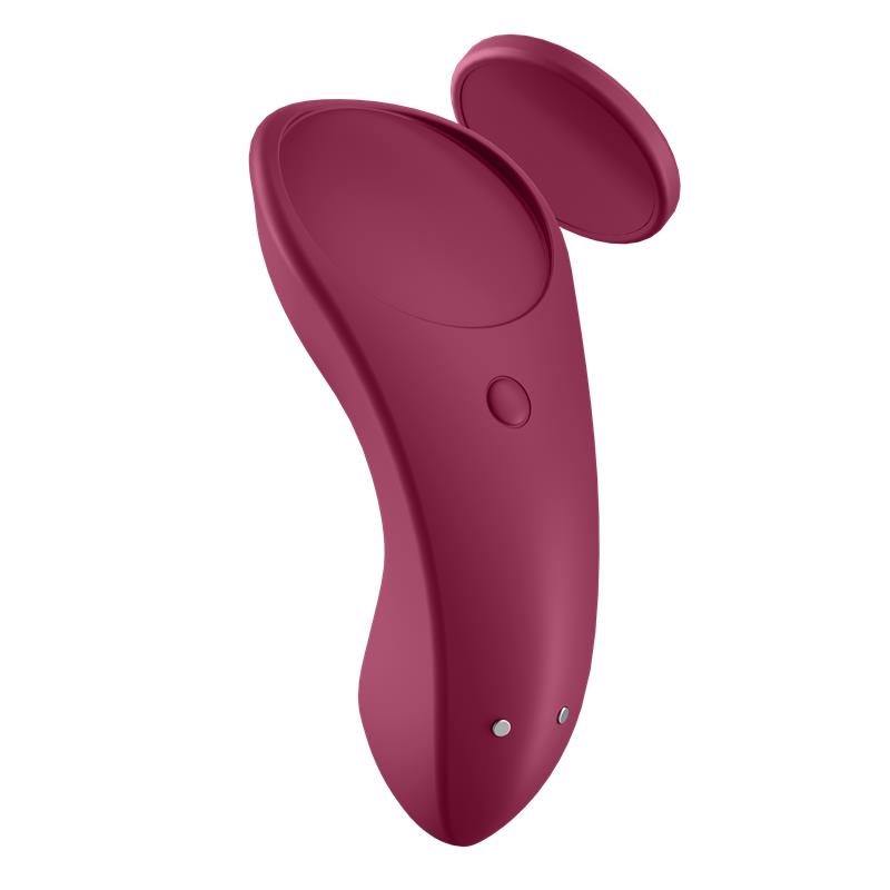 SATISFYER SEXY SECRET PANTY 29