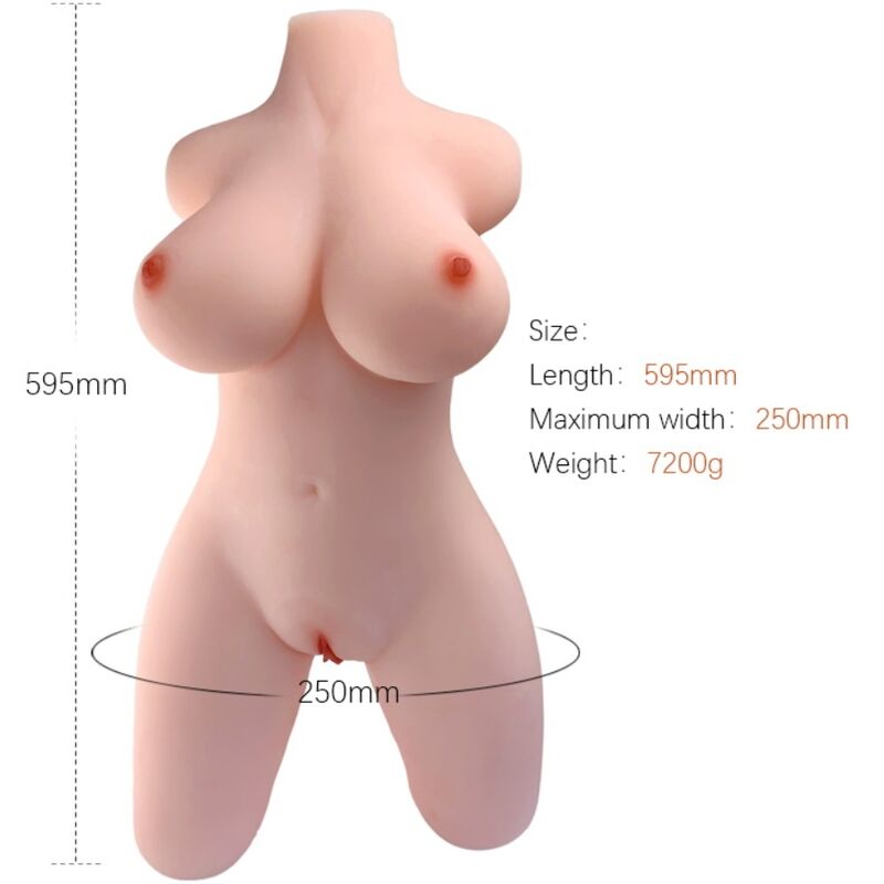 MODELO DE TORSO FEMININO REALISTA 2