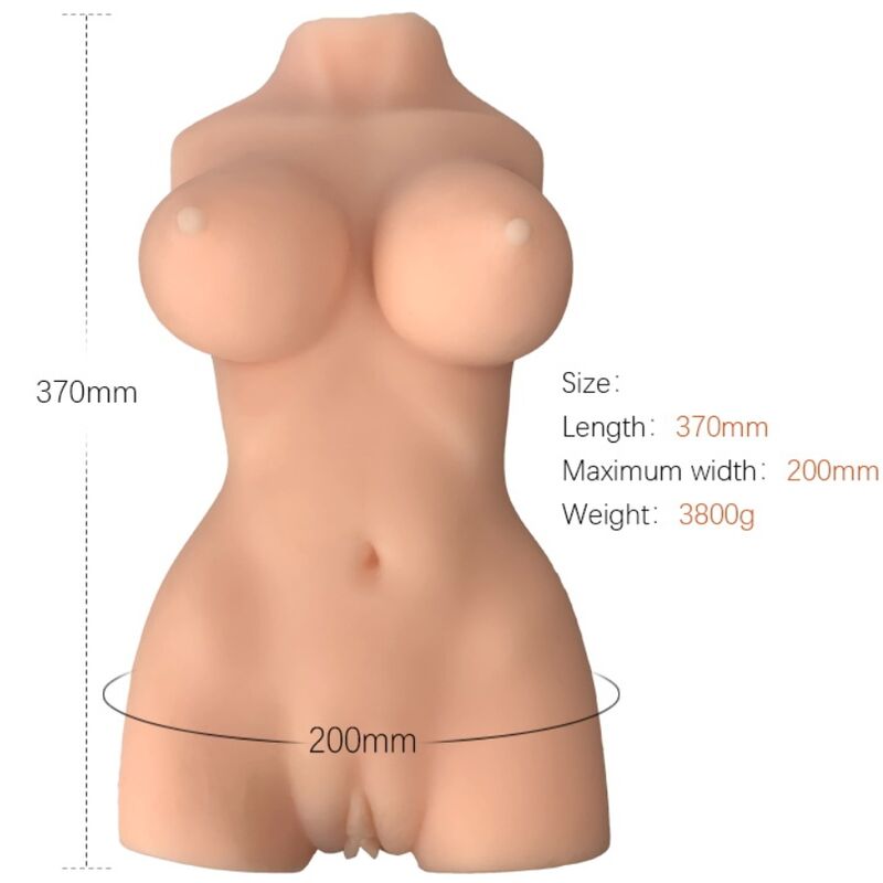 MODELO DE TORSO FEMININO REALISTA 7