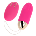 CONTROL REMOTO REMOTE VIBRATOR