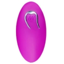 MANDO PARA HUEVO VIBRADOR