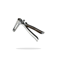 Saldi Speculum