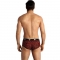 ANAIS MEN - TRIBAL BRIEF S nº2