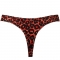 ANAIS MEN - STRING TRIBAL M nº3