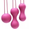 BOLAS KEGEL AMI - FUCSIA nº2