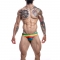 LOW RISE BRIEF RAINBOW S nº5