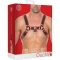 Chest bulldog harness - rojo