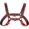 Chest bulldog harness - rojo