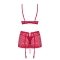 CONJUNTO LIVIDIA OBSESSIVE VERMELHO nº5