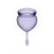 SENTIR BOM MENSTRUAL CUP ROXO 15 + 20ML nº6