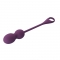 ELVIRA KEGEL BALLS APP CONTROLE REMOTO ROXO nº20