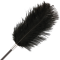 FUSTA CON PLUMA LOVE NEGRO 56CM nº1