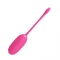 OEUF VIBRANT RECHARGEABLE ROSE CATALINA nº1