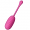 OEUF VIBRANT RECHARGEABLE ROSE CATALINA nº15