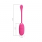 OEUF VIBRANT RECHARGEABLE ROSE CATALINA nº8