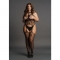 LE DÉSIR - LACE SUSPENDER BODYSTOCKING WITH ROUND NECK - BOD