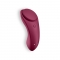 PANTY VIBRATOR COM APP SEXY SECRET SATISFYER nº10