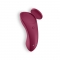 PANTY VIBRATOR COM APP SEXY SECRET SATISFYER nº11