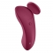 PANTY VIBRATOR COM APP SEXY SECRET SATISFYER nº19