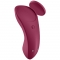 PANTY VIBRATOR COM APP SEXY SECRET SATISFYER nº3