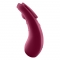 PANTY VIBRATOR COM APP SEXY SECRET SATISFYER nº5