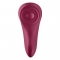 PANTY VIBRATOR COM APP SEXY SECRET SATISFYER nº6