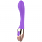 SUNNY VIBRADOR RECARGABLE SILICONA nº2