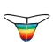 TANGA PROVOCATIVE RAINBOW L nº2