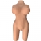 MODELO DE TORSO FEMININO REALISTA 6 nº4