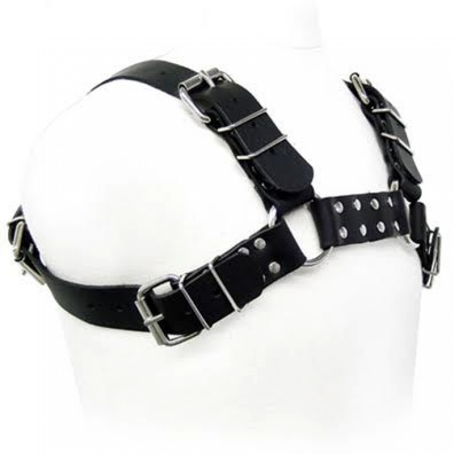 BLACK BULL DOG HARNESS 2